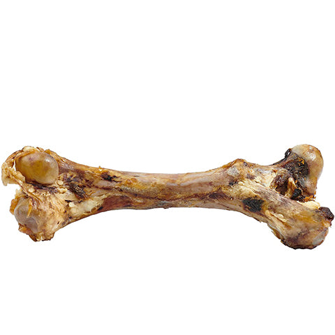 Whole Femur Bones